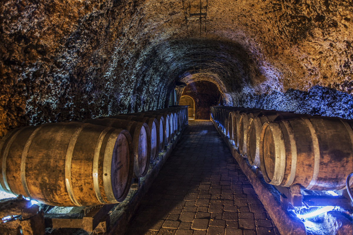 Bodega El Fabulista