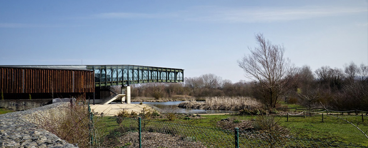 Parque Salburua Vitoria-Gasteiz